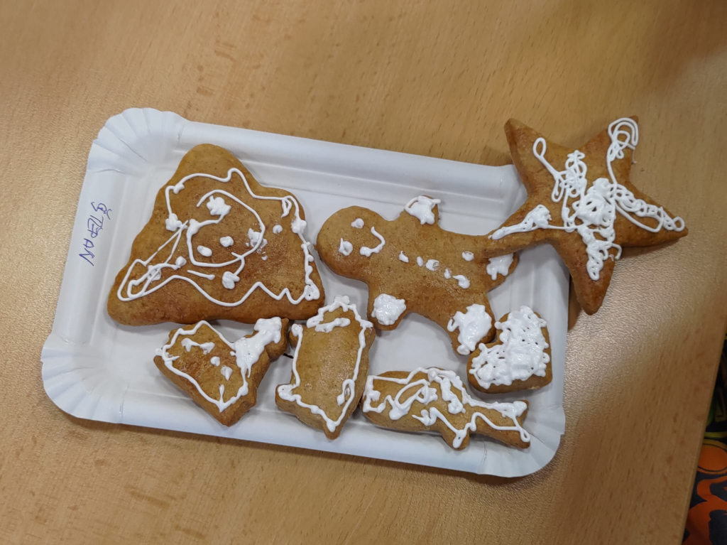 Obrázek WhatsApp, 2025-11-21 v 18.51.24_9ff126d5.jpg