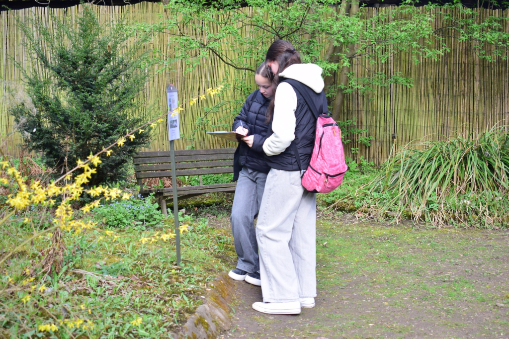 DSC_0595.jpg