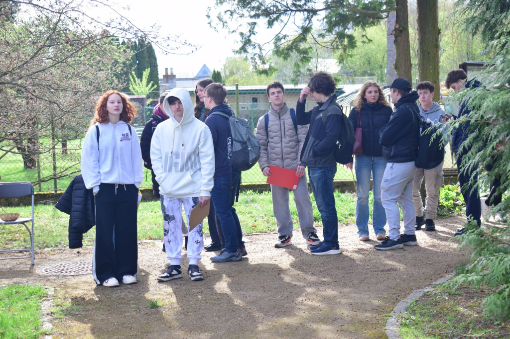 DSC_0630.jpg