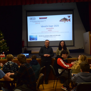 Vánoční kapr 2025