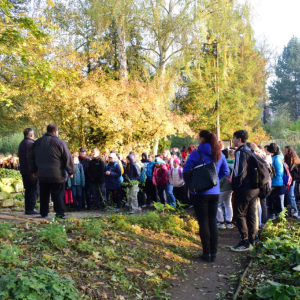 OKRESNÍ BOTANICKÁ SOUTĚŽ - PODZIM 2024