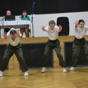 DSC_0204.jpg
