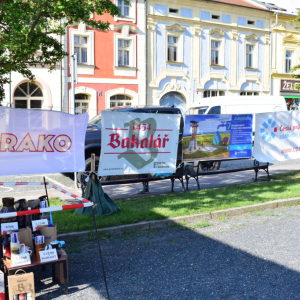 DSC_0095.jpg